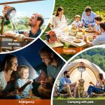 Rechargeable Camping Fan and Lantern Combo