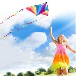 Easy-Fly Delta Kite for Kids and Adults