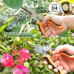 Stainless Steel Gardening Tool Set with Tote