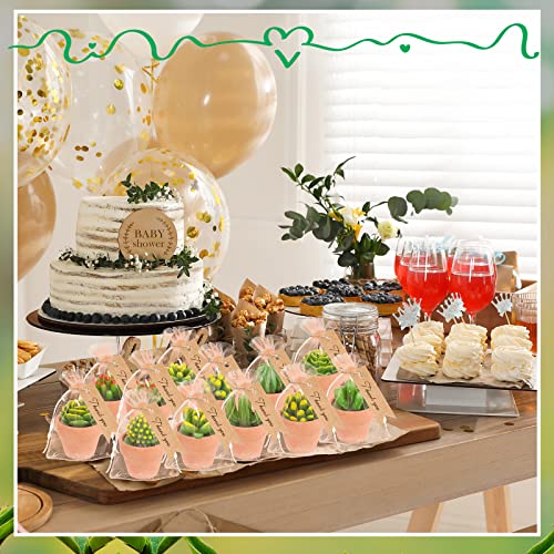 Succulent Tealight Candles Party Favors Set