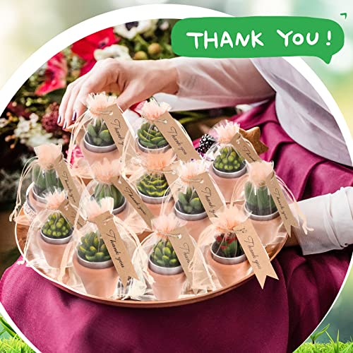 Succulent Tealight Candles Party Favors Set