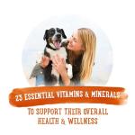 Beneful Chicken Medley Wet Dog Food 8-Pack