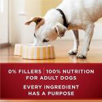 Purina ONE Tender Cuts Turkey & Venison Dog Food