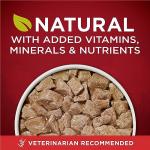 Purina ONE Tender Cuts Turkey & Venison Dog Food