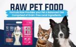 Formula Raw Freeze-Dried Beef Dog Food, Grain-Free