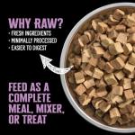 Nutrience Subzero Freeze-Dried Canadian Pork & Apple Dog Food