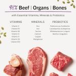 Stella & Chewy's Grain-Free Beef Cat Food