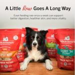 Stella & Chewy's Freeze-Dried Puppy Beef & Salmon