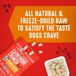 Stella & Chewy's Freeze-Dried Beef Dog Treats