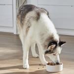 Open Farm RawMix Dry Dog Food, 3.5lb