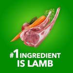 IAMS Proactive Health Lamb & Rice Dog Food