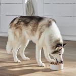 Open Farm Grain-Free Dry Dog Food for Large Breeds