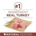 Purina ONE Healthy Weight Dry Dog Food, Turkey