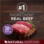 Purina ONE True Instinct High Protein Dog Food