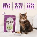 Stella & Chewy's Grain-Free Raw Blend Cat Kibble