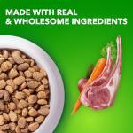 IAMS Proactive Health Lamb & Rice Dog Food