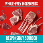 Stella & Chewy's Raw Coated Dog Biscuits - Lamb