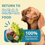 Steve's Real Food Freeze-Dried Turkey Nuggets for Pets