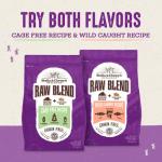 Stella & Chewy's Grain-Free Raw Blend Cat Kibble