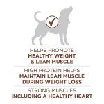 Purina ONE Healthy Weight Dry Dog Food, Turkey