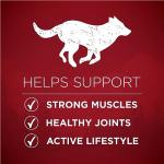 Purina ONE True Instinct High Protein Dog Food