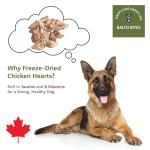 Balto Bites Freeze-Dried Chicken Hearts Treats
