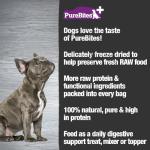 PureBites+ Freeze-Dried Dog Treats for Digestion