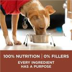 Purina ONE Healthy Weight Dry Dog Food, Turkey