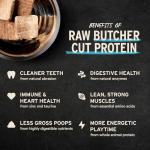 Vital Essentials Beef Mini Patties Dog Food