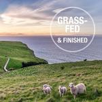 K9 Natural Freeze Dried Dog Food Topper 8.8Oz