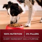 Purina ONE True Instinct High Protein Dog Food