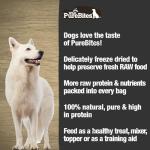 PureBites Freeze-Dried Bison Liver Dog Treats