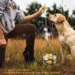 Natural Freeze-Dried Quail Egg Yolk Treats 80g