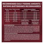 Purina ONE True Instinct High Protein Dog Food