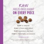 Nature's Variety Grain-Free Rabbit Dry Cat Food 10lb