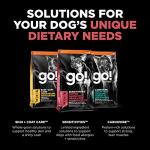 Go! Solutions Limited Ingredient Grain-Free Salmon Dog Food