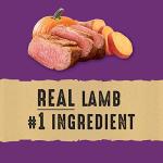 Nature's Recipe Grain Free Lamb Dog Food 5.4 kg