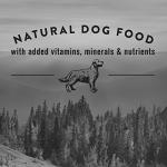 Nature's Recipe Grain Free Lamb Dog Food 5.4 kg