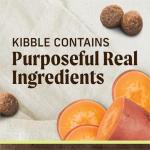 Merrick Grain Free Lamb & Sweet Potato Dog Food