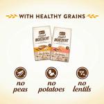 Merrick Grain-Free Salmon & Sweet Potato Dog Food