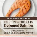 Merrick Grain-Free Salmon & Sweet Potato Dog Food