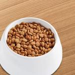 IAMS Advanced Health Dry Dog Food - Chicken & Salmon