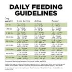 Go! Solutions Turkey Limited Ingredient Dog Food 12lbs