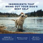 Natural Balance Grain-Free Sweet Potato & Venison Dog Food