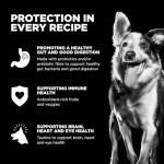 Go! Solutions Limited Ingredient Duck Dog Food 22lbs