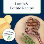 BLUE Basics Grain-Free Lamb & Potato Dog Food 4lb