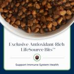 BLUE Basics Grain-Free Lamb & Potato Dog Food 4lb