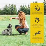 Nutram T28 Grain-Free High Protein Dog Food