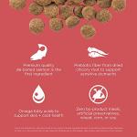 GO! SOLUTIONS Salmon Limited Ingredient Dog Food 22 lb