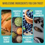 Nutram T28 Grain-Free High Protein Dog Food